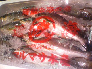 20070406140436.jpg