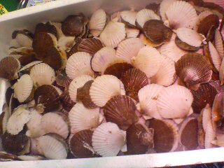 20070406140730.jpg