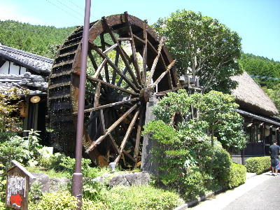 CIMG0242.jpg