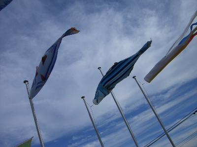 CIMG0255.jpg