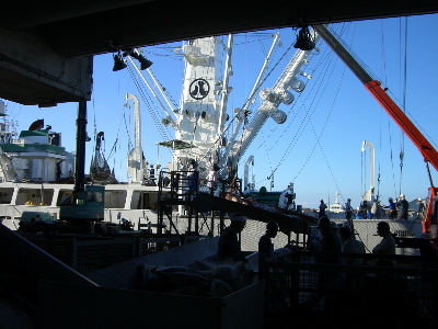 CIMG0299.jpg