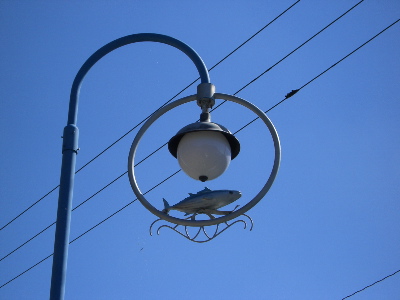 CIMG0330.jpg