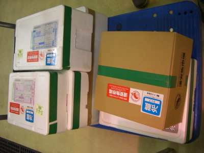 CIMG6203.jpg
