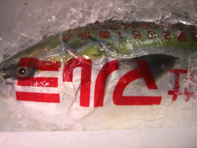 CIMG6217.jpg